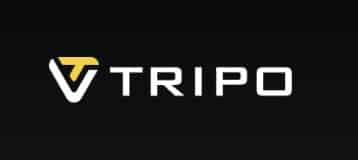 tripo AI